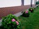House for sale Klaipėdos rajono sav., Smilgynuose, Pasienio g. (16 picture)
