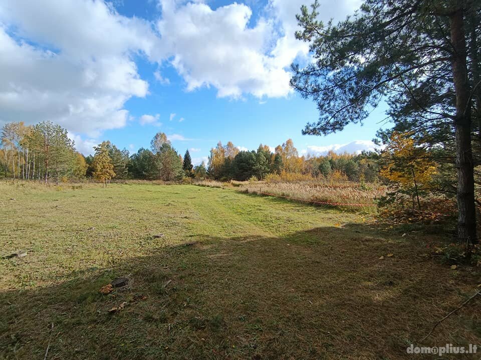 Parduodamas sodo namas Birštono sav., Šilėnuose, Smilgų g.