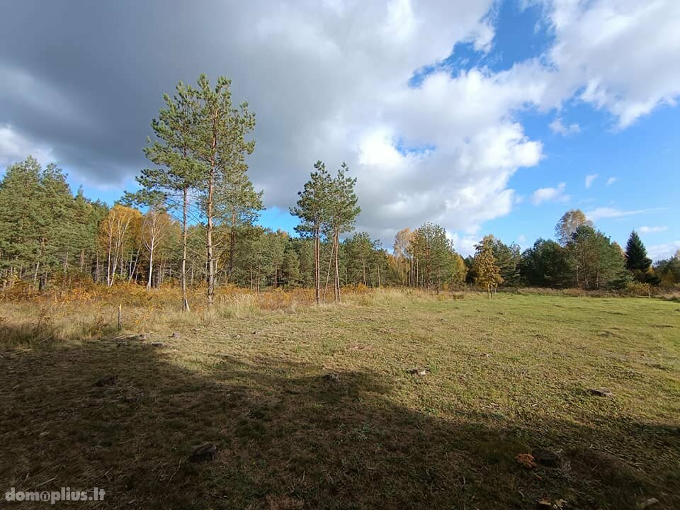 Parduodamas sodo namas Birštono sav., Šilėnuose, Smilgų g.
