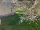 Summer house for sale Kretingos rajono sav., Jokūbave (3 picture)