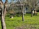 Summer house for sale Kretingos rajono sav., Jokūbave (6 picture)