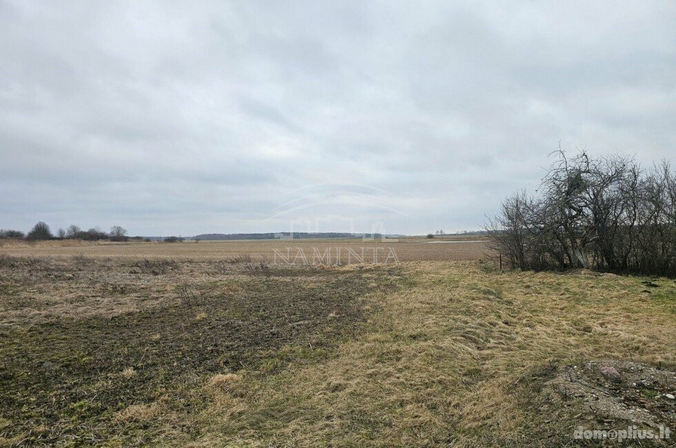 Parduodama sodyba Kretingos rajono sav., Lazdininkuose