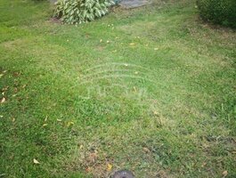 Parduodamas sodo namas Kretingos rajono sav., Kretingoje