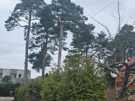 Parduodamas gyvenamasis namas Alytuje, Senamiestyje, Užuovėjos g.