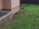 Summer house for sale Klaipėdos rajono sav., Dercekliuose (3 picture)