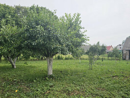 Parduodamas gyvenamasis namas Pasvalio rajono sav., Žilpamūšyje, Šermukšnių g.