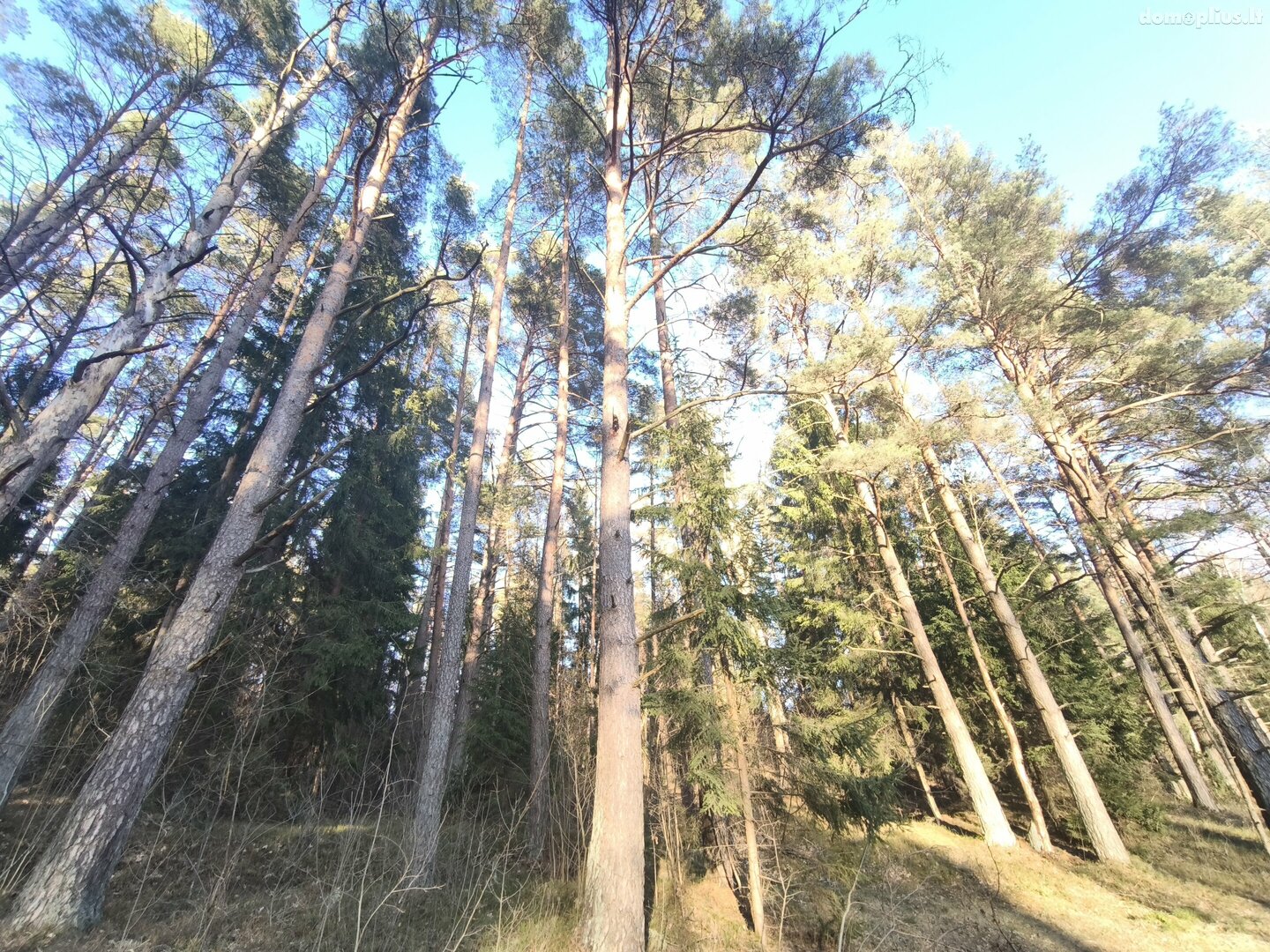 Parduodamas gyvenamasis namas Molėtų rajono sav., Melninkuose