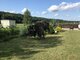 Parduodamas gyvenamasis namas Druskininkų sav., Gailiūnuose, Girios g. (8 nuotrauka)