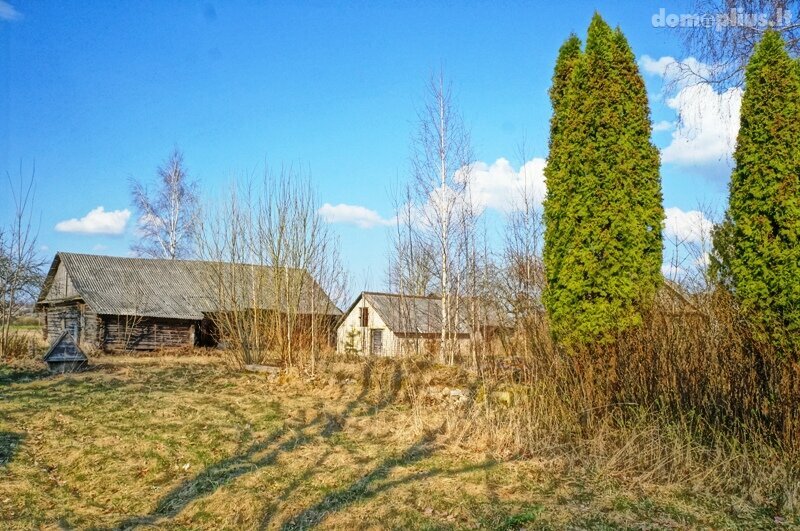 Parduodama sodyba Ignalinos rajono sav., Salomenkoje, Liepų g.