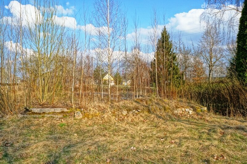 Parduodama sodyba Ignalinos rajono sav., Salomenkoje, Liepų g.