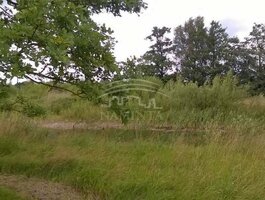 Parduodama sodyba Klaipėdos rajono sav., Malagiuose