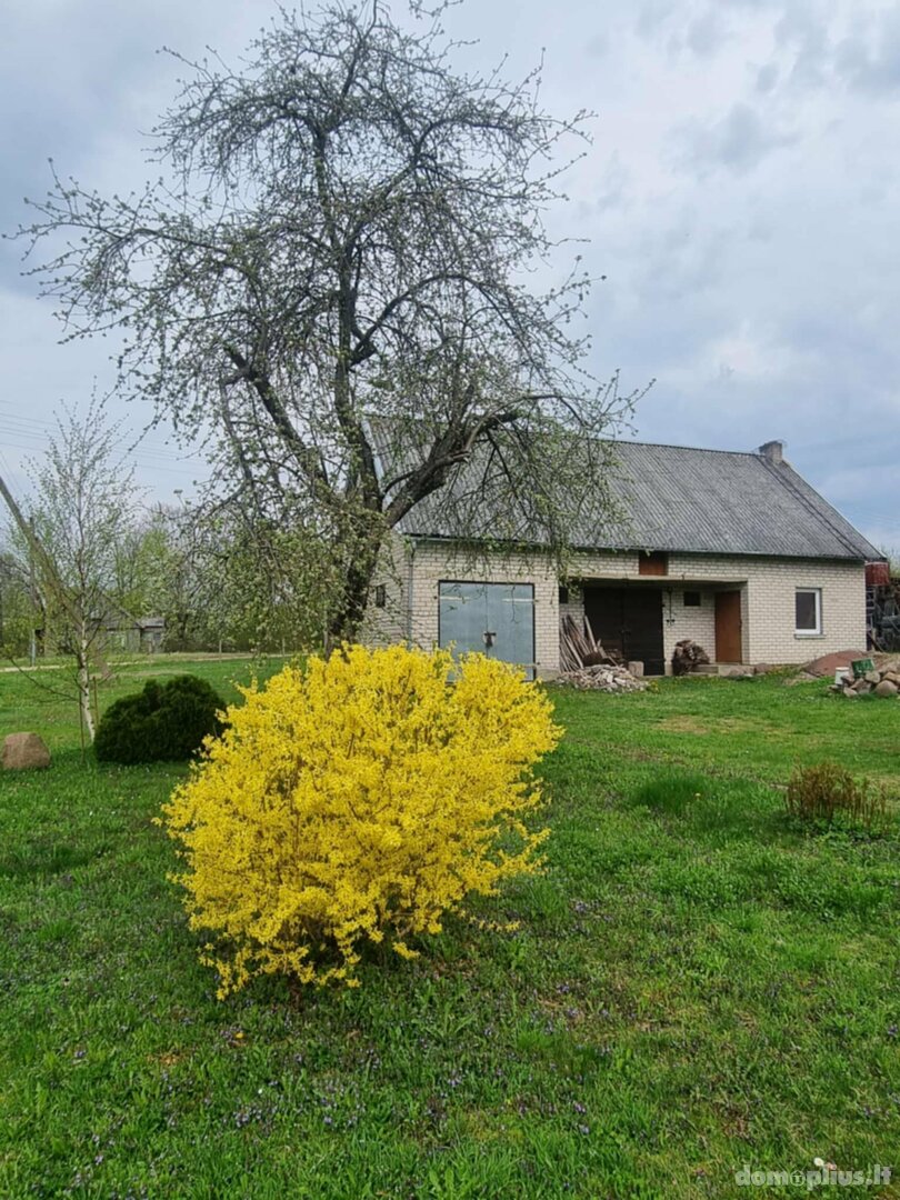 Parduodama sodyba Klaipėdos rajono sav., Vilkiuose, Vilkių g.