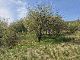 Other Klaipėdos rajono sav., Vaiteliuose
