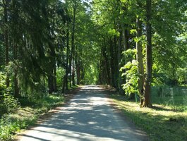 Sublokuotas namas Kaune, Vaišvydavoje, Liepų g.