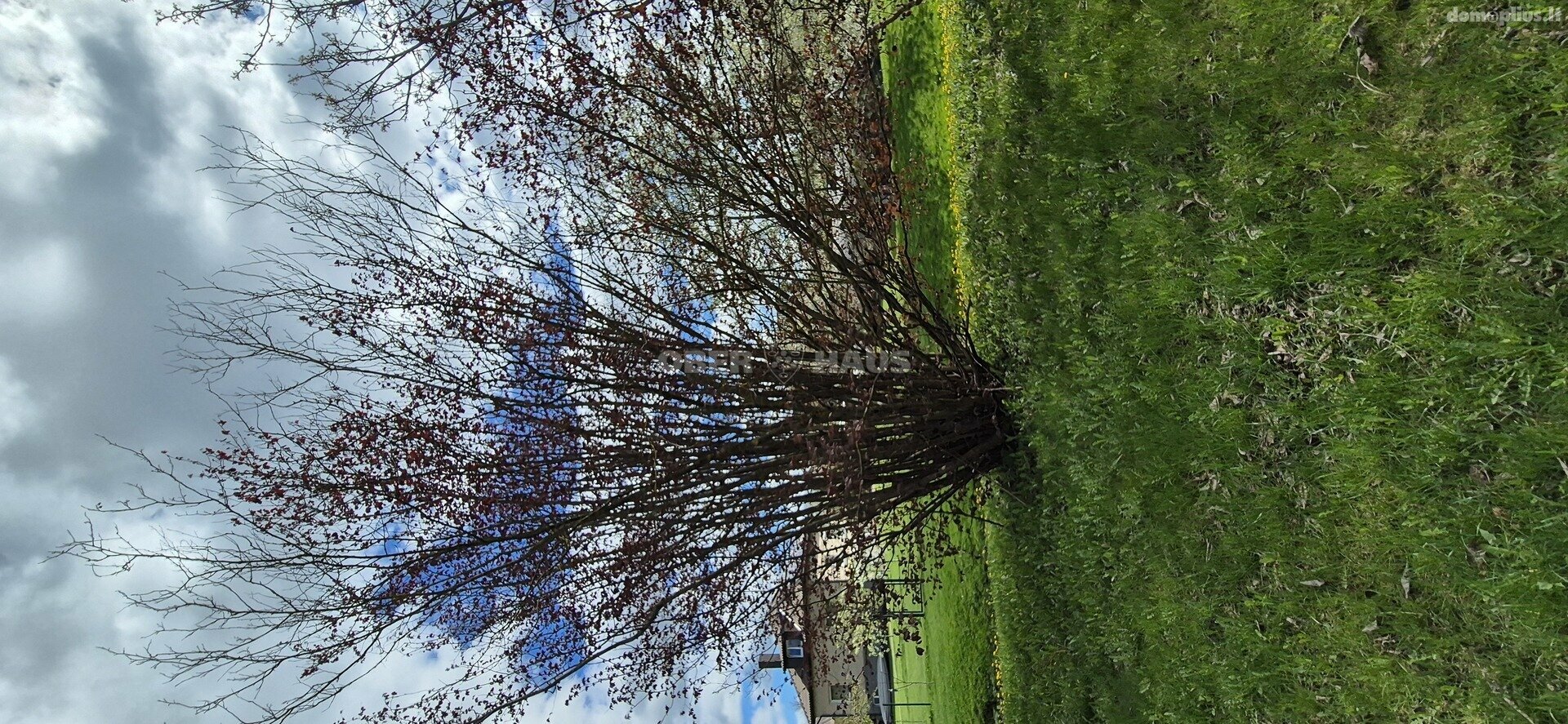 Parduodamas gyvenamasis namas Šiauliuose, Medelyne, Panevėžio g.