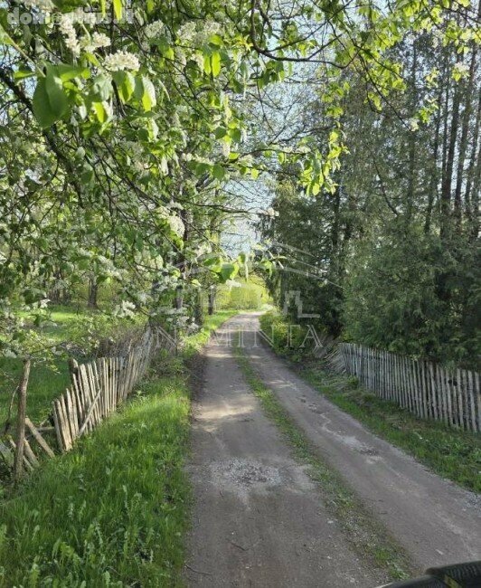 Parduodama sodyba Klaipėdos rajono sav., Šiūpariuose