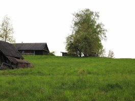 Parduodama sodyba Ukmergės rajono sav., Antalaušiuose