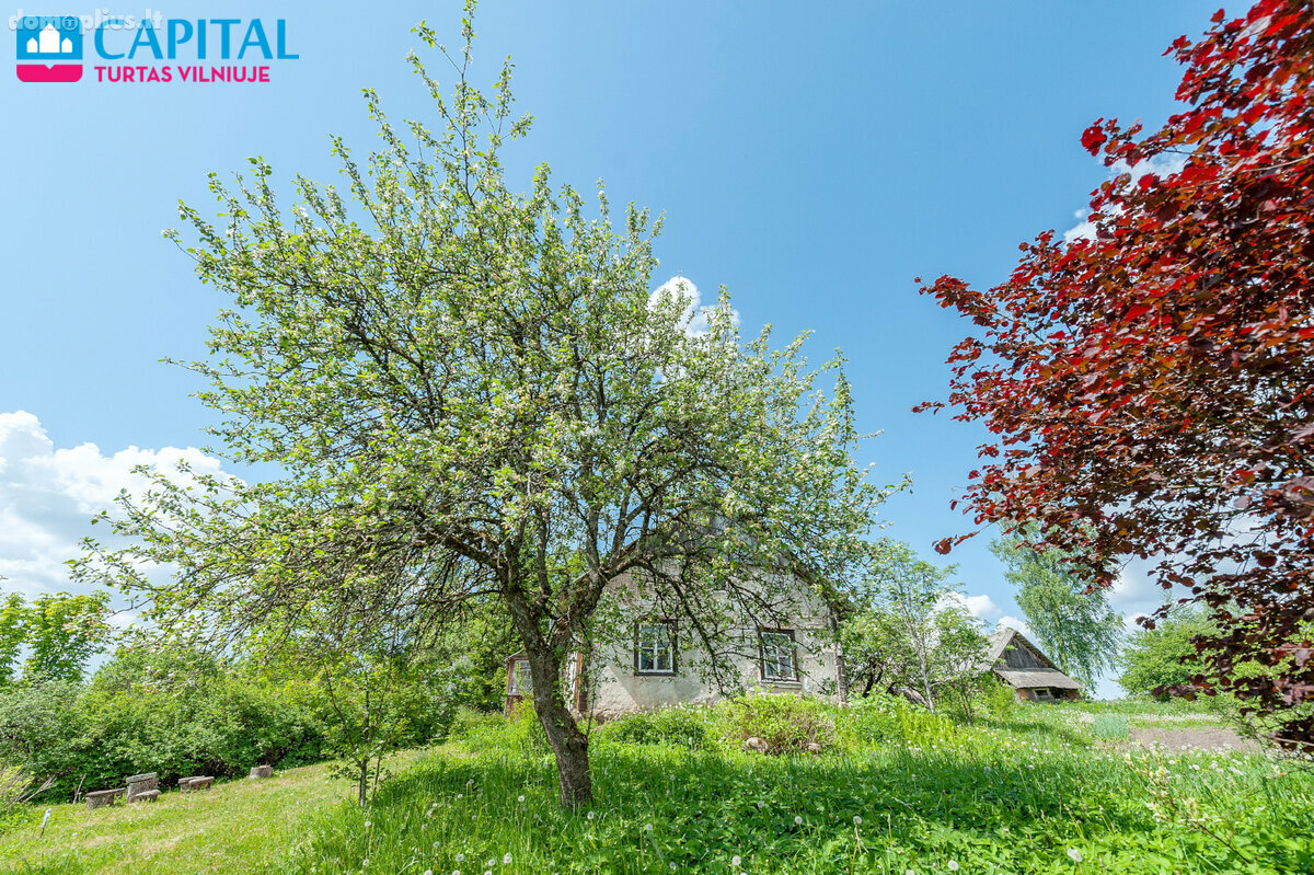 Homestead for sale Ignalinos rajono sav., Senasis Daugėliškis