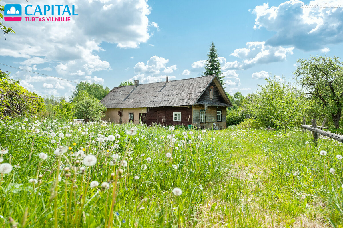 Homestead for sale Ignalinos rajono sav., Senasis Daugėliškis