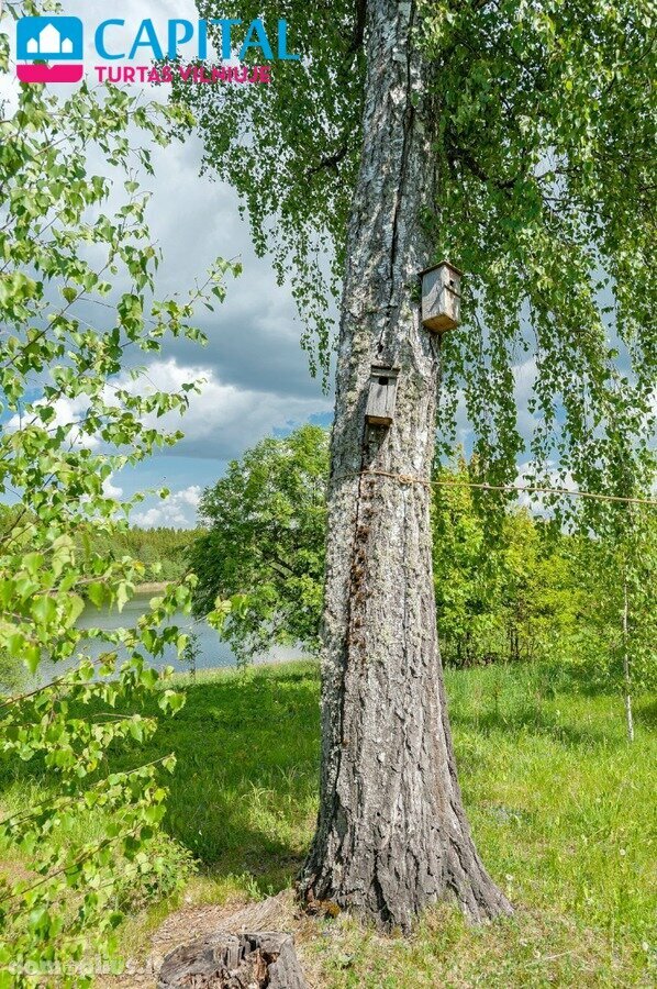 Homestead for sale Ignalinos rajono sav., Senasis Daugėliškis