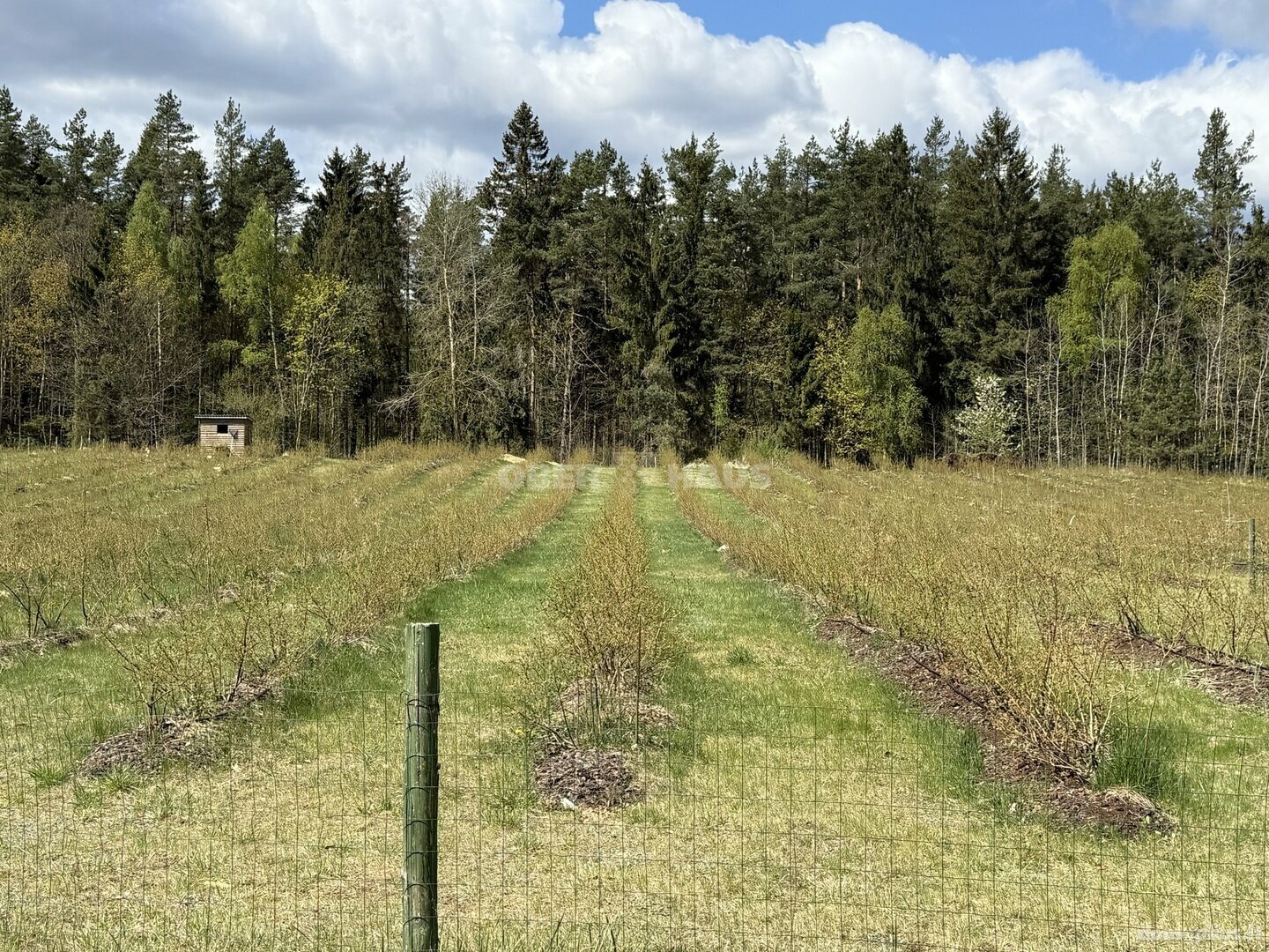 Parduodamas gyvenamasis namas Kelmės rajono sav., Kryžbarke