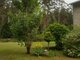 House for sale Jurbarko rajono sav., Vidugiryje (6 picture)