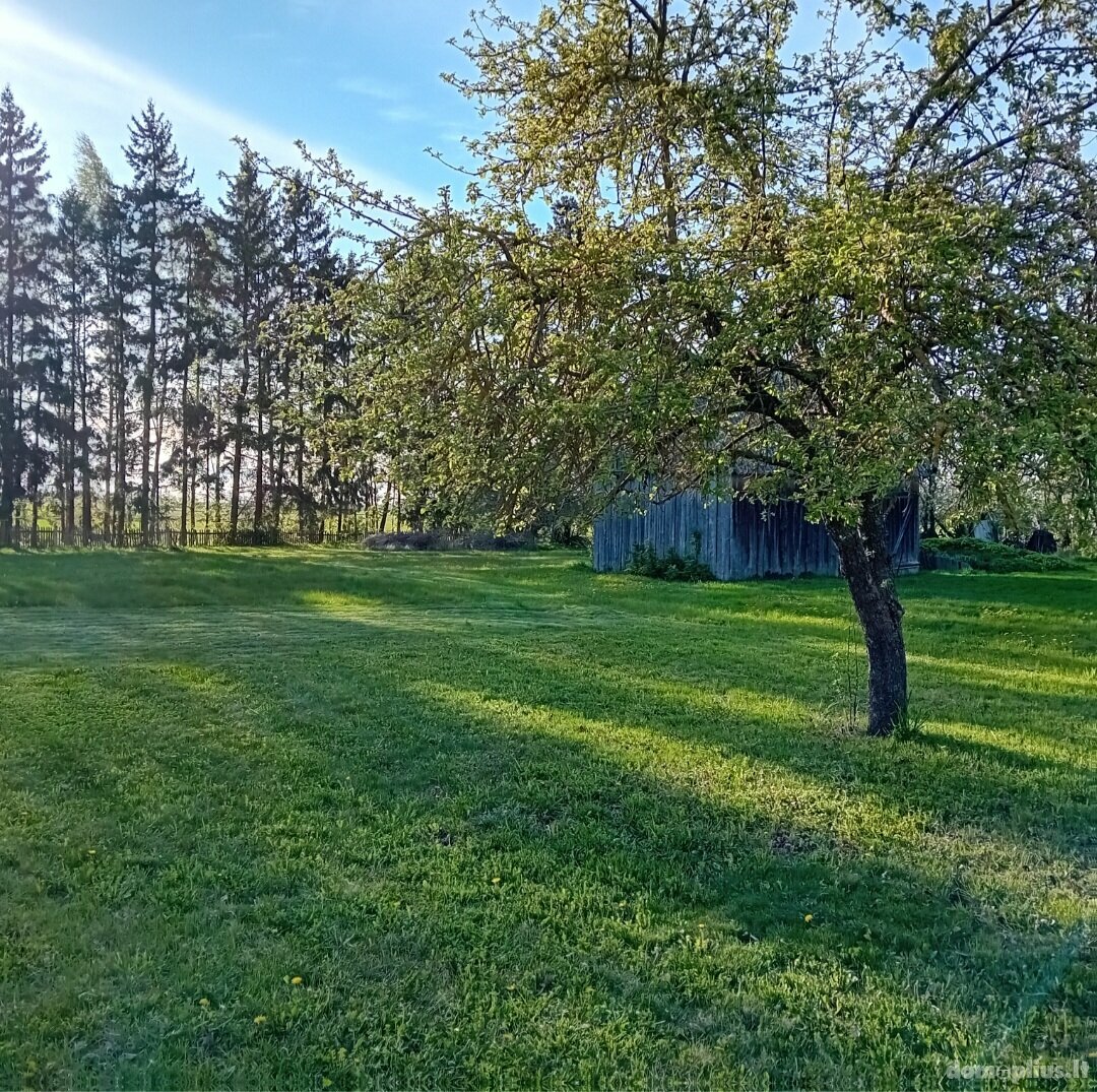Parduodama sodyba Pakruojo rajono sav., Akmenėliuose, Ežerėlio g.