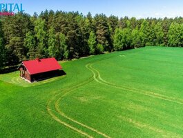 Gyvenamasis namas Lazdijų rajono sav., Beržiniuose
