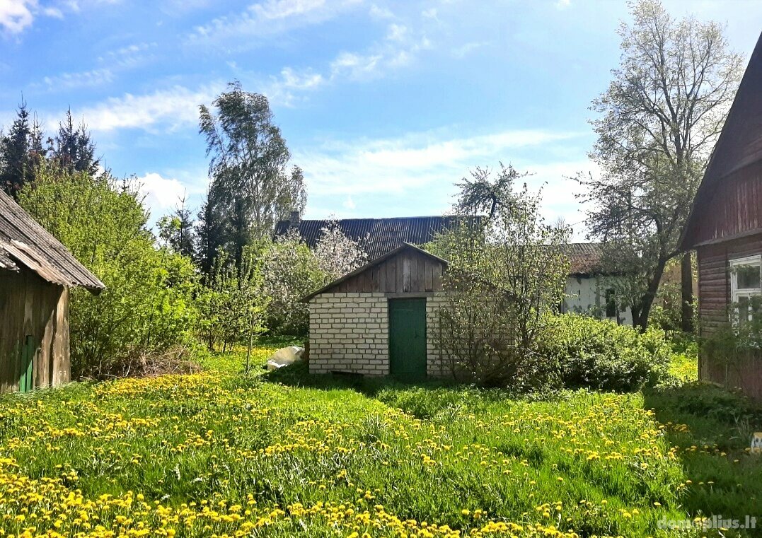 Homestead for sale Joniškio rajono sav., Daunoriškėje, Senoji g.