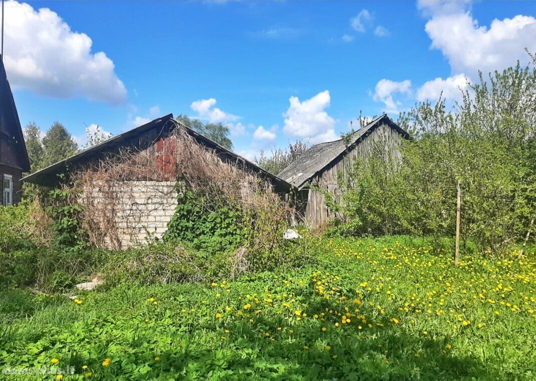 Homestead for sale Joniškio rajono sav., Daunoriškėje, Senoji g.