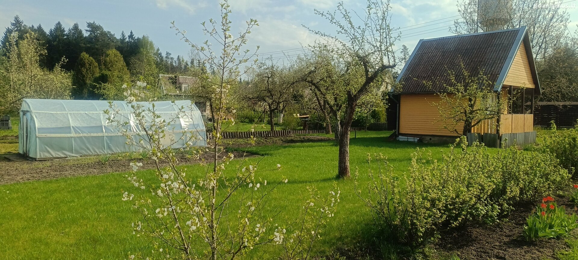 Summer house for sale Panevėžio rajono sav., Naujikuose, Tiesioji g.