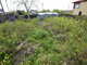 House for sale Klaipėdos rajono sav., Kalotėje (15 picture)