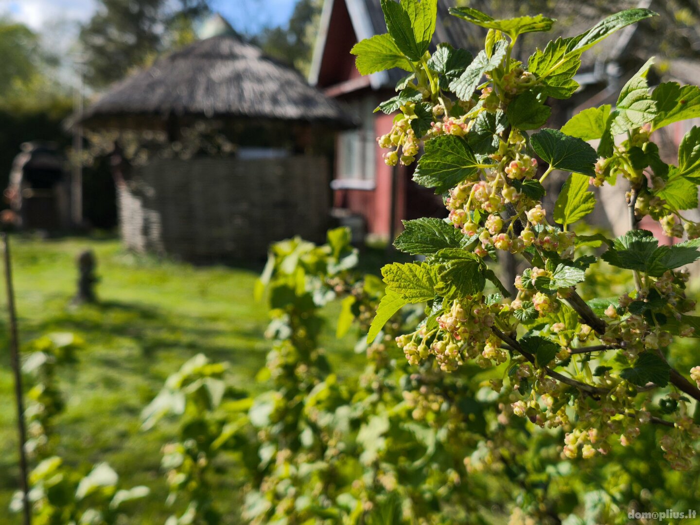 Parduodamas sodo namas Utenos rajono sav., Vosgėliuose, Alyvų g.