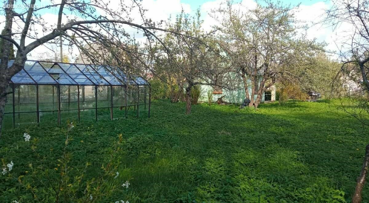 Parduodamas sodo namas Kretingos rajono sav., Daubėnuose