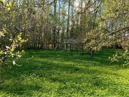 Parduodamas sodo namas Kretingos rajono sav., Daubėnuose