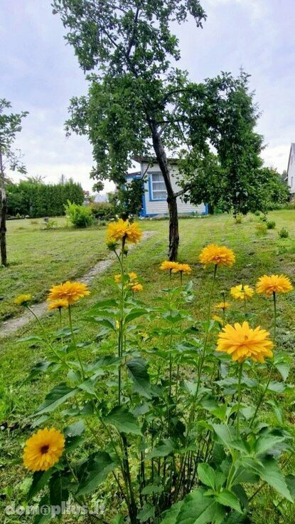 Parduodamas sodo namas Klaipėdos rajono sav., Šiūpariuose