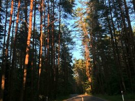 Parduodamas gyvenamasis namas Vilniuje, Antakalnyje, Vismaliukų Sodų 5-oji g.