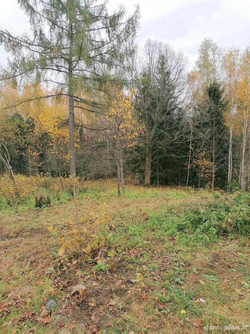 Parduodama sodyba Molėtų rajono sav., Antaliežiuose, Liežio g.