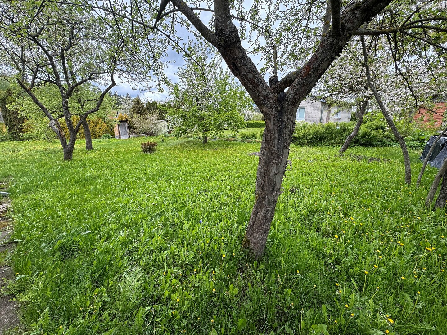 Parduodamas sodo namas Panevėžio rajono sav., Bernatoniuose, Putino al.