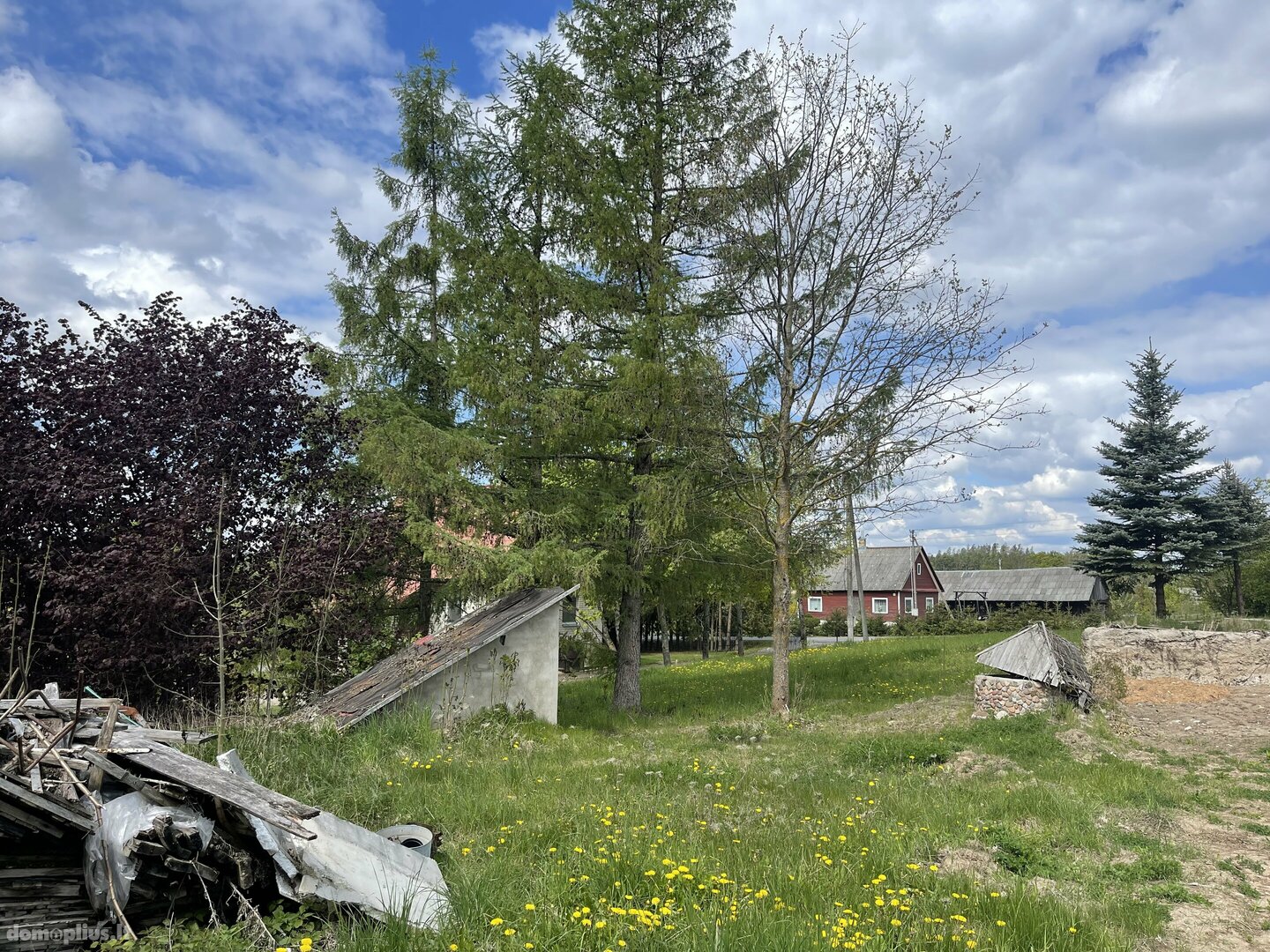 Parduodama sodyba Alytaus rajono sav., Balkūnuose, Balkūnų g.