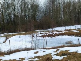Parduodamas gyvenamasis namas Biržų rajono sav., Parupėje, Sodžiaus g.