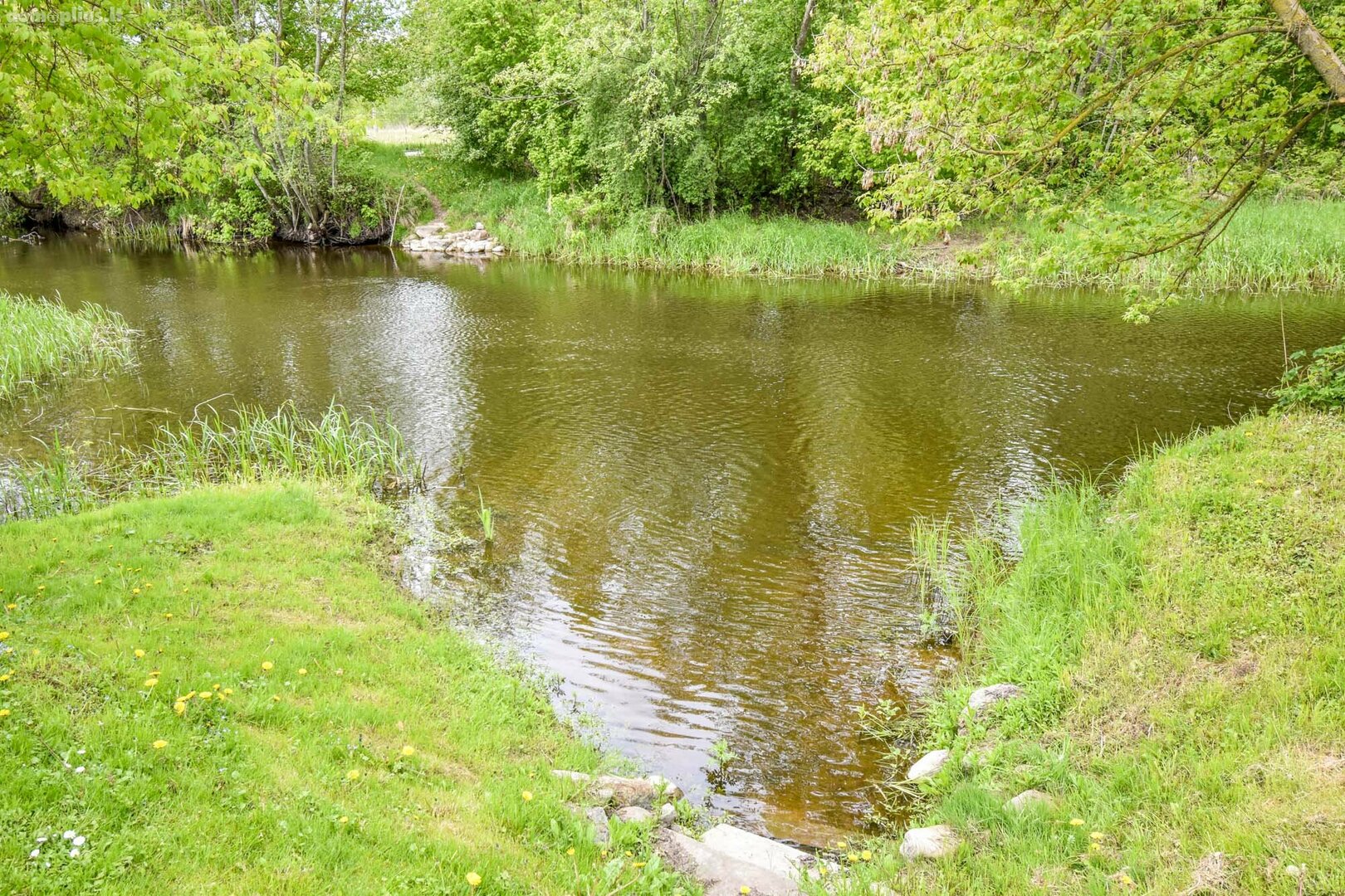 Parduodamas gyvenamasis namas Panevėžio rajono sav., Daukniškiuose, Liepų g.