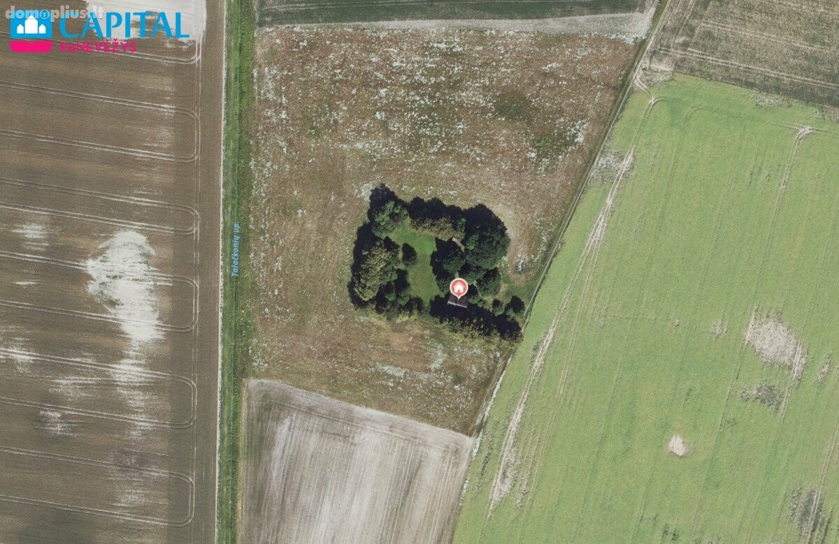 Homestead for sale Pasvalio rajono sav., Dagiliškyje