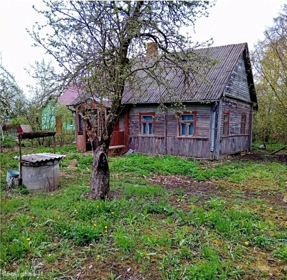 Parduodama sodyba Pasvalio rajono sav., Ruškeliuose