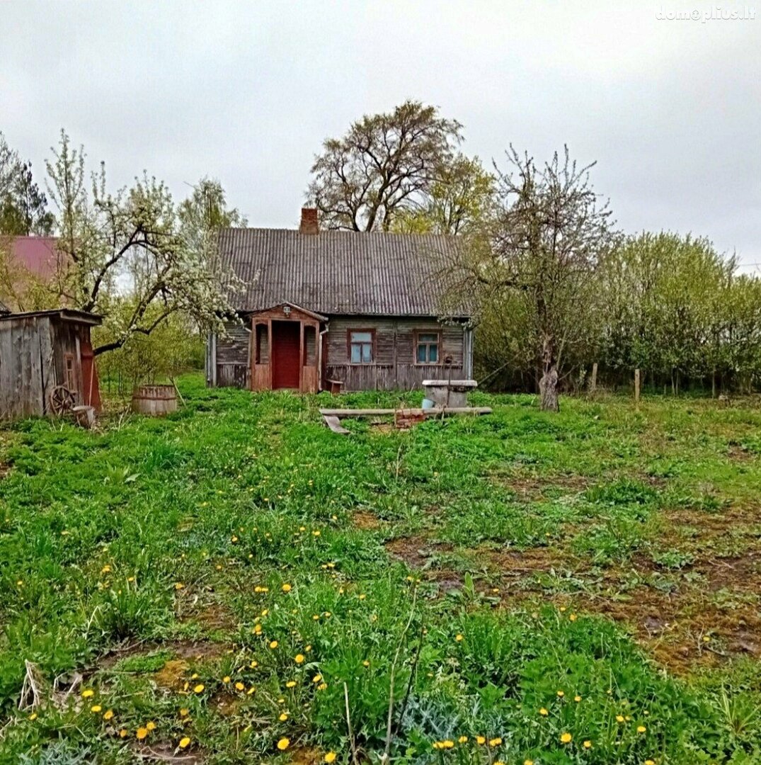 Parduodama sodyba Pasvalio rajono sav., Ruškeliuose