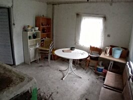 Parduodama sodyba Pasvalio rajono sav., Ruškeliuose
