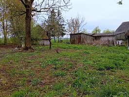Parduodama sodyba Pasvalio rajono sav., Ruškeliuose