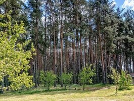 Parduodamas gyvenamasis namas Druskininkų sav., Neravuose, Dainavos 5-oji g.