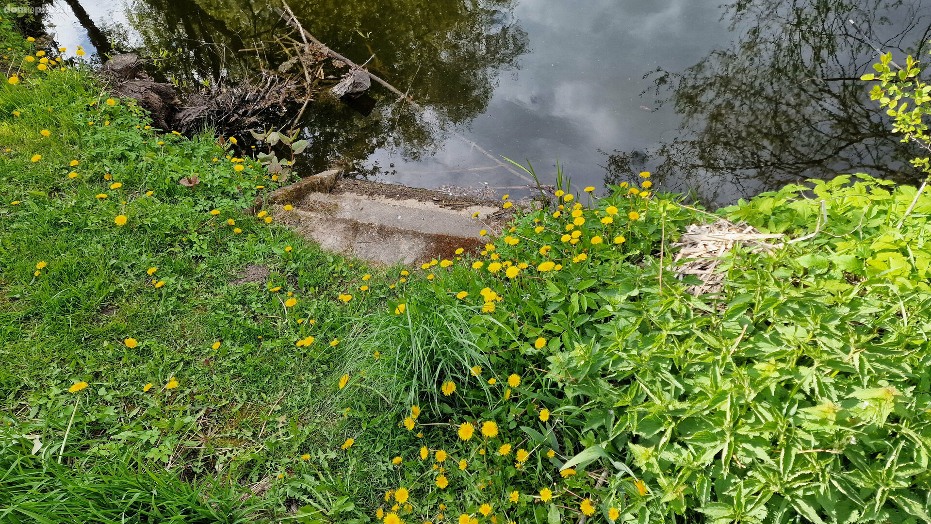 Parduodamas sodo namas Panevėžyje, Molainiuose, Bendrijų g.