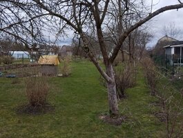 Parduodamas sodo namas Klaipėdos rajono sav., Šnaukštuose